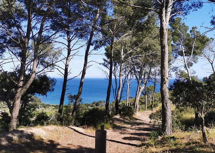 Lejlighed Petit Paradis - St Mandrier Village *