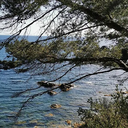 Daire Petit Paradis - St Mandrier Village