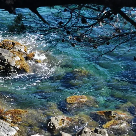 Apartment Petit Paradis - St Mandrier Village *