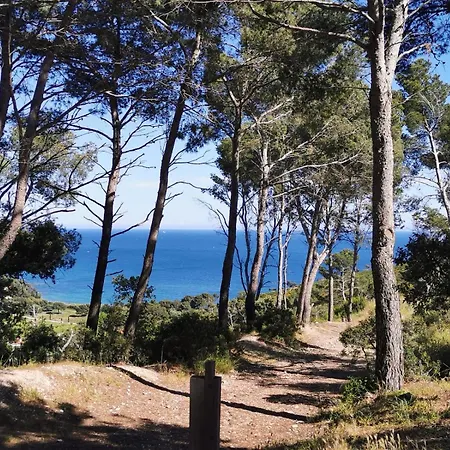 Apartment Petit Paradis - St Mandrier Village *