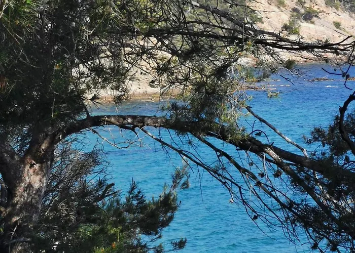 Petit Paradis - St Mandrier Village
